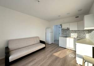 Студия квартира, на длительный срок, 20м2, 5/24 этаж