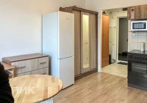 Студия квартира, на длительный срок, 20м2, 17/17 этаж