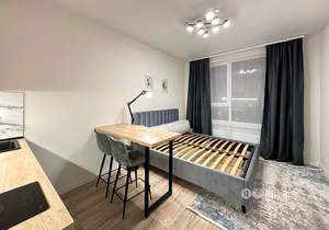 Студия квартира, на длительный срок, 22м2, 4/7 этаж