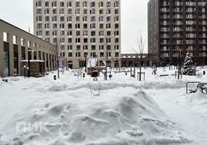 1-к квартира, на длительный срок, 32м2, 5/11 этаж