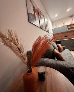 Студия квартира, на длительный срок, 20м2, 17/25 этаж