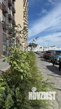 1-к квартира, на длительный срок, 37м2, 9/25 этаж