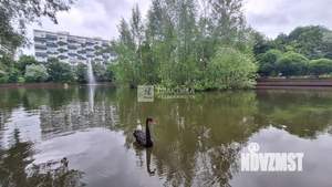 2-к квартира, вторичка, 50м2, 7/12 этаж