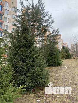 1-к квартира, вторичка, 43м2, 2/9 этаж