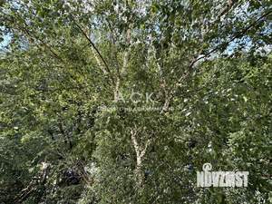 3-к квартира, вторичка, 60м2, 6/9 этаж