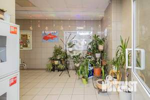 6-к квартира, вторичка, 248м2, 15/16 этаж