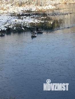 3-к квартира, вторичка, 128м2, 1/11 этаж